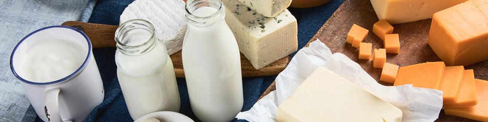 Dairy